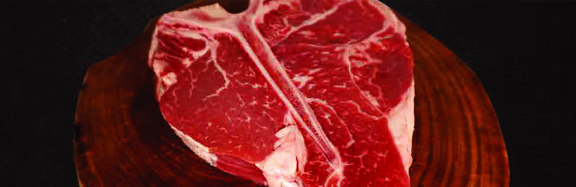 Holstein